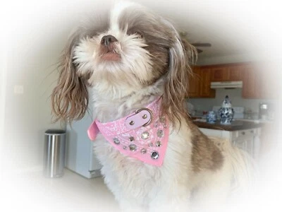 Collar Bandana Rosa Claro Bling - Bark Avenue Bling Foto 1 de 4