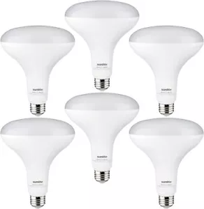 LED BR40 Reflector Light Bulb, 13W(75W=) E26 Base 120v 6500K Daylight - 6 Pack - Picture 1 of 2