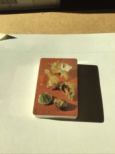 Playing Card Set  Sealed US playing Card Co Seashells Scene - Picture 1 of 4