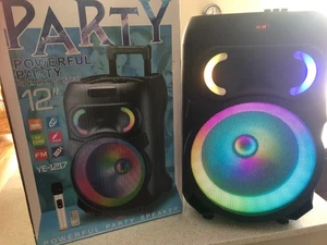 Party Leistungsstarkes Party Lautsprechersystem mit 1 kabellosen Mikrofon - Bild 1 von 1