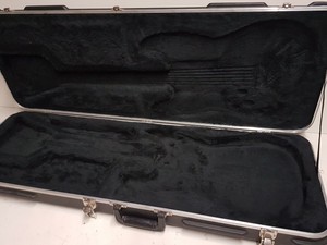 freedom guitar case