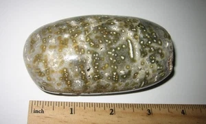 3.6" BEAUTIFUL TUMBLED POLISHED NATURAL OCEAN JASPER STONE MINERAL ~ 282grams - Picture 1 of 9