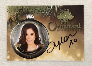2015 Benchwarmer Holiday Dylan Fitzpatrick Autograph Ornament Card Bench Warmer - Picture 1 of 2