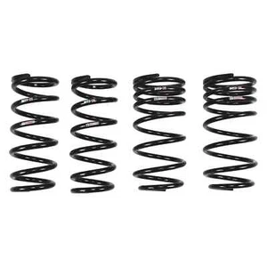 RS-R T981TD Ti2000 Down Lowering Springs for 18-24 Lexus LC500 - Bild 1 von 1
