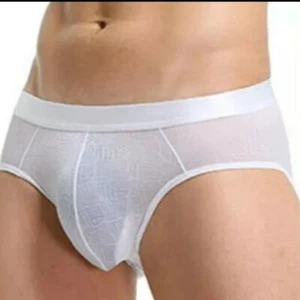 Mens 2 Pack Pure White Ice Silk Mesh Low Rise Briefs With 3D Pouch! Size Medium - Picture 1 of 2