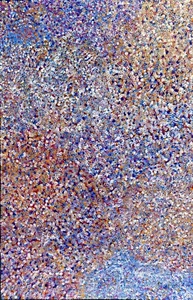 Bessie Pitjara. Highly Collectable Aboriginal Art. Incl COA, and photo's - Picture 1 of 5