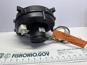 MOTOR SOPLADOR INDUCTOR FASCO 702111543 D342094P03 - Imagen 1 de 6