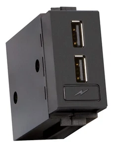 Crestron 6510719 FT2A-CHGR-USBA-BASIC USB Charging Module for FT2 FlipTop - Dual - Picture 1 of 4