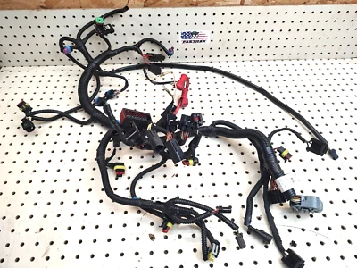 Ski Doo 2013 REV XR GSX 600HO Etec Frame / Main Harness 800R 13 515177383 - Image 1 of 4