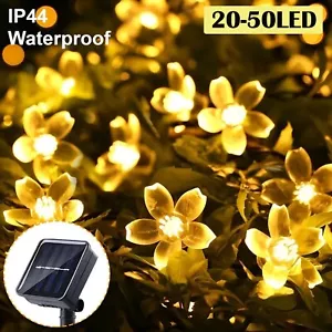 20-50 LED Solar String Lights Peach Flower Fairy Outdoor Garden Party Decor - Picture 1 of 15