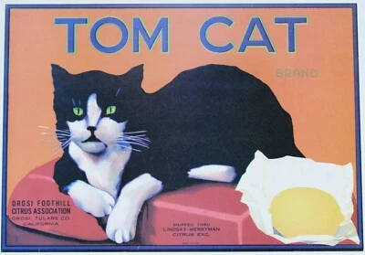 Tom Cat Lemon Crate Label Orosi Foothill Tulare CA Citrus Association Lithograph - Image 1 of 4