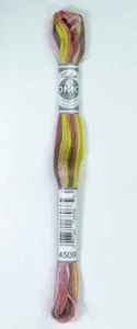 DMC Coloris Thread, Embroidery Floss 8m Multi Colour 4509, COTE DE GRANIT - Picture 1 of 1