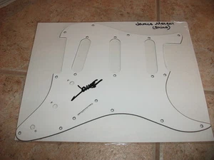 James Mercer The Shins Signed Autographed Guitar Pickguard Pick Guard Rock Music - Picture 1 of 1
