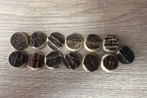 Buttons bone deer horn vintage. Austria - Germany 2cm - Picture 1 of 4