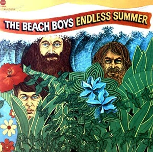 The Beach Boys - Endless Summer 2LP (VG+/VG+) ' - Bild 1 von 1