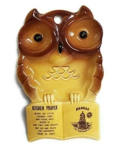 Vintage Owl Spoon Rest Kansas Sunflower State Ceramic Japan Kitchen Prayer 7.25" - Picture 1 of 5