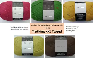 (90,50€/kg) *Trekking XXL Tweed* Atelier Zitron Sockenwolle, 4fach, 100g Knäuel - Bild 1 von 6