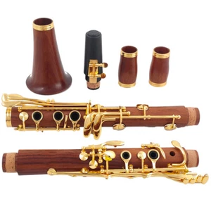 Redwood Professional Clarinet A Rosewood Silvering/Ebony Gold-plated Clarinet - Picture 1 of 12