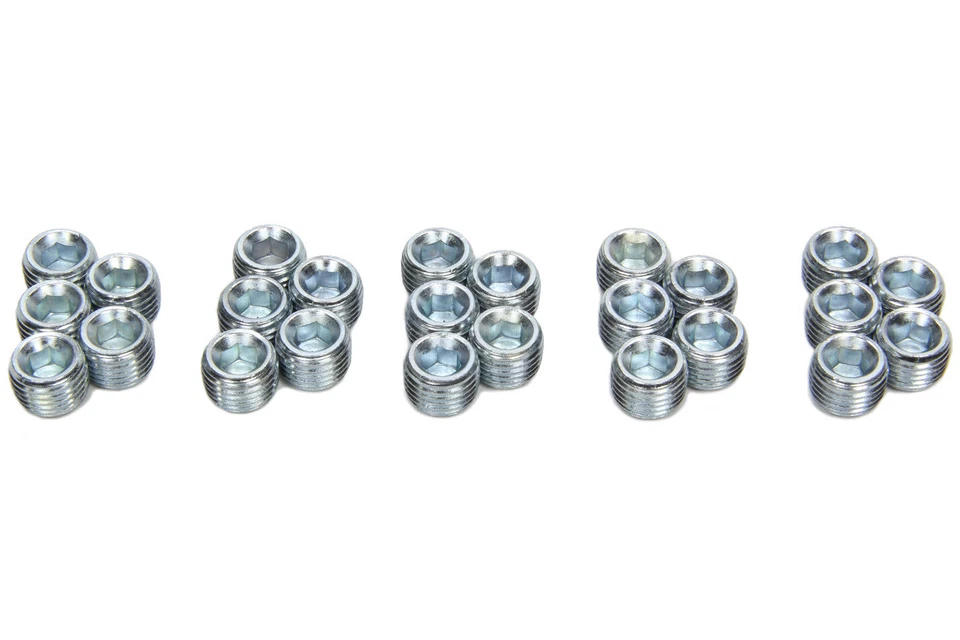 PIONEER #PP-454-25 1/4-NPT Pipe Plugs 25pk w/Oil Relief Hole - Imagem 1 de 1