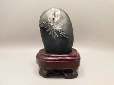 Chrysanthemum Stone 4.5 inch on Wood Base Natural Rock #O7 - Image 1 of 4