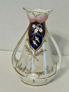 Vintage Rock Springs Park Freizeitpark Vase Chester West Virginia selten  - Bild 1 von 12