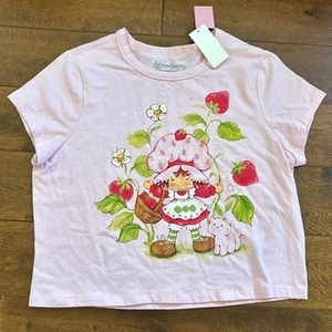 NWT Hybrid Apparel Strawberry Shortcake Custard Cat Boxy T-Shirt Pink Girls XL - Picture 1 of 5