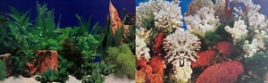 Aquarium Fish Tank Background Scenery Poster Bulk Double Sided Roll 12" / 30cm - Picture 1 of 2