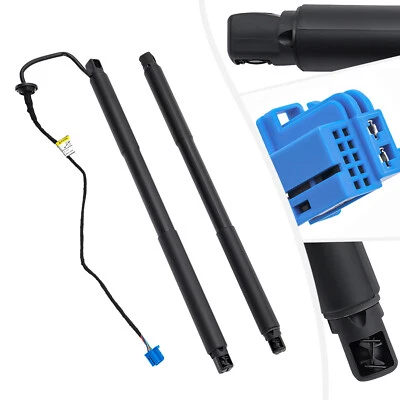 Rear Trunk Lift Supports for Mercedes-Benz X166 GL350 GL450 GL550 GLS450 Pair  - Image 1 of 4