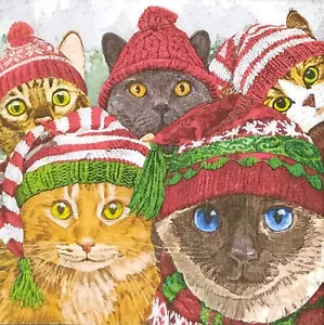 Z157# 3 x Single SMALL Paper Napkins Decoupage Cat With Winter Cap Pattern - Picture 1 of 14