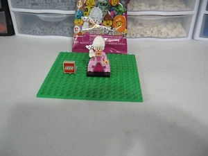 LEGO MINIFIGURE NEW SERIES 24 OPENED PACKAGE AND PUT TOGETHER FOR PICTURES - Picture 1 of 5
