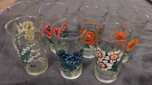 25-366 7 Vintage Brockway Blume Geburtsmonat Gläser 70er Jahre Becher Glaswaren - Bild 1 von 10
