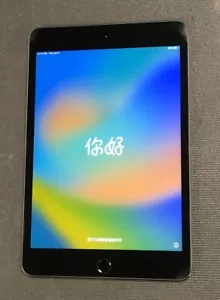 Apple iPad Mini (5th Generation) 64GB, Wi-Fi, 7.9in - Space Gray - Very Good - Picture 1 of 8
