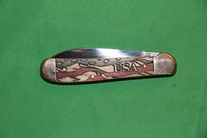 Case XX-USA-Copperhead Bone Flag 6249W SS Wharncliffe & Pen Blades - Picture 1 of 11