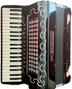 Bugari Akkordion 120 bass - Bild 1 von 3