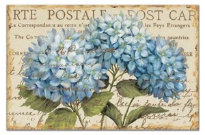 Paper Placemat, Blue Hydrangeas, 24-Pack - Picture 1 of 3
