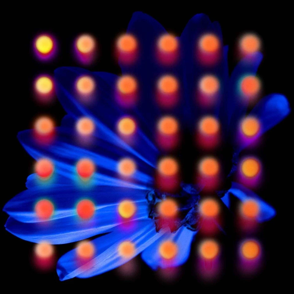 Anberlin - Nevertake - CD - New - image 1 of 1