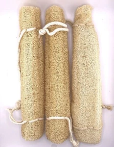 3 Stück Vorteilspackung 12 Zoll groß natürliche Luffa Faser Bad Schwamm Rückenwäsche - Bild 1 von 7