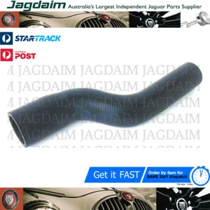 New Jaguar XJ40 X300 V12 94-96 6.0L Top Radiator Hose CCC2800 - Picture 1 of 2
