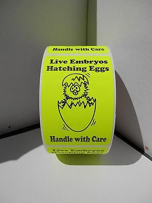 50 LIVE EMBRYOS HATCHING EGGS Handle/Care 2x3  Neon Yellow Sticker Label • 9.45$