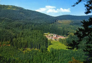 CARTOLINA POSTCARD - TOSCANA AREZZO S.EREMO DI CAMALDOLI - Picture 1 of 1