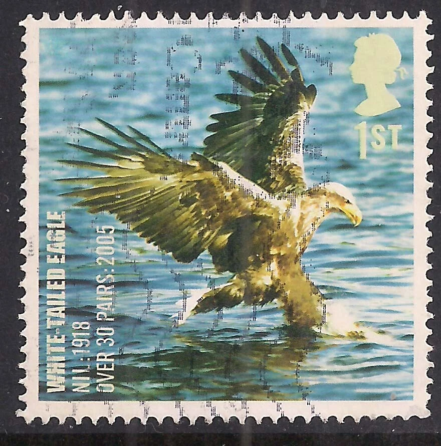 GB 2007 QE2 1st Birds ' White Tailed Eagle ' used SG 2764  ( J1402 ) - Image 1 of 1