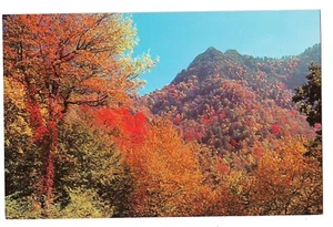 CHIMNEY TOPS FALL COLORS Great Smoky Mountains Nat'l Park TN Postcard Tennessee - Picture 1 of 2