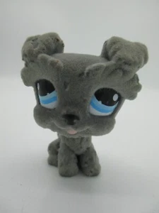 Hasbro Littlest Pet Shop #1006 Silver Flocked Schnauzer - Picture 1 of 6