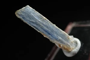 KYANITE * BLUE CRYSTALS FROM UNCOMMON LOCALITY ! Zillertal, AUSTRIA - Picture 1 of 23