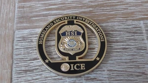 HSI ICE Asset Forfeiture Unit Challenge Coin #D827 - Bild 1 von 8