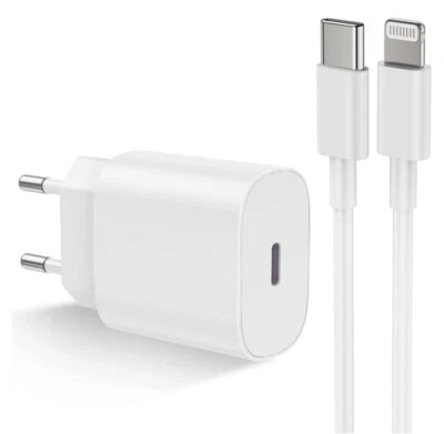 Rapido Caricabatteria per iPhone/iPad Apple - Immagine 1 di 3