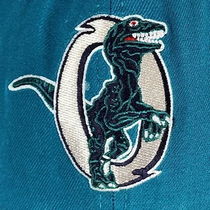 Ogden Raptors Embroidered Logo Teal & Blue New Era Dupont Visor Hat Med-Lg Snap - Picture 1 of 13