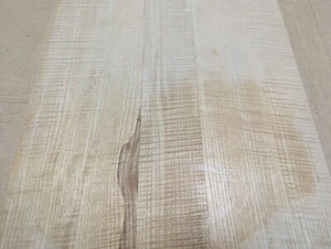 Esche Figur Holz Furnier Platte 15" x 30" x 1/2" Spanplattenkern 2-seitig - Bild 1 von 5