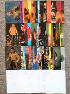 WCW NWO SUPERSTARS PANINI WRESTLING PHOTOCARDS CARDS 1998 WWE WWF