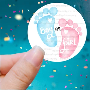 Boy or Girl Gender Reveal Sticker Sheet of 24, 45mm, baby shower gift bag labels - Picture 1 of 1